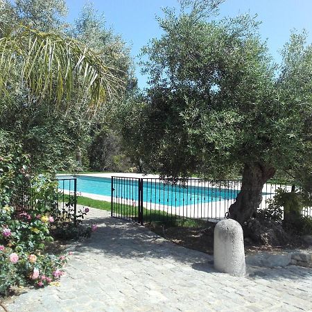 La Bastide De L'Oliveraie Ле-Кастелле Экстерьер фото